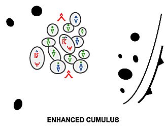 enhanced_cumulus