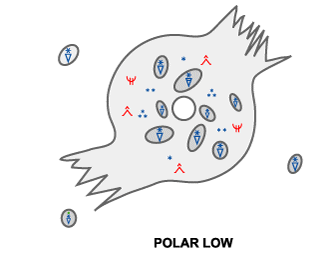 polar_low